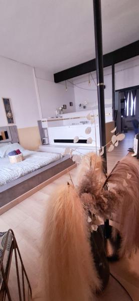 Centre ville cosy 33m2